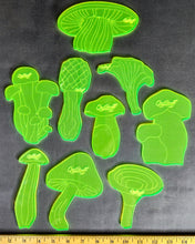 Load image into Gallery viewer, Tracing templates/shapes for Ghost Quilting.